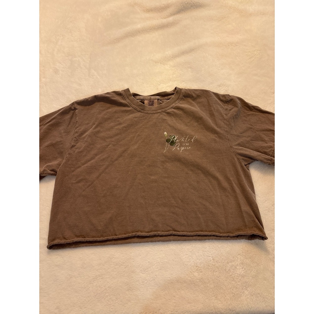 Comfort Colors Brown Cropped Graphic T-Shirt Rooted In Him Colossians 2:7 Large